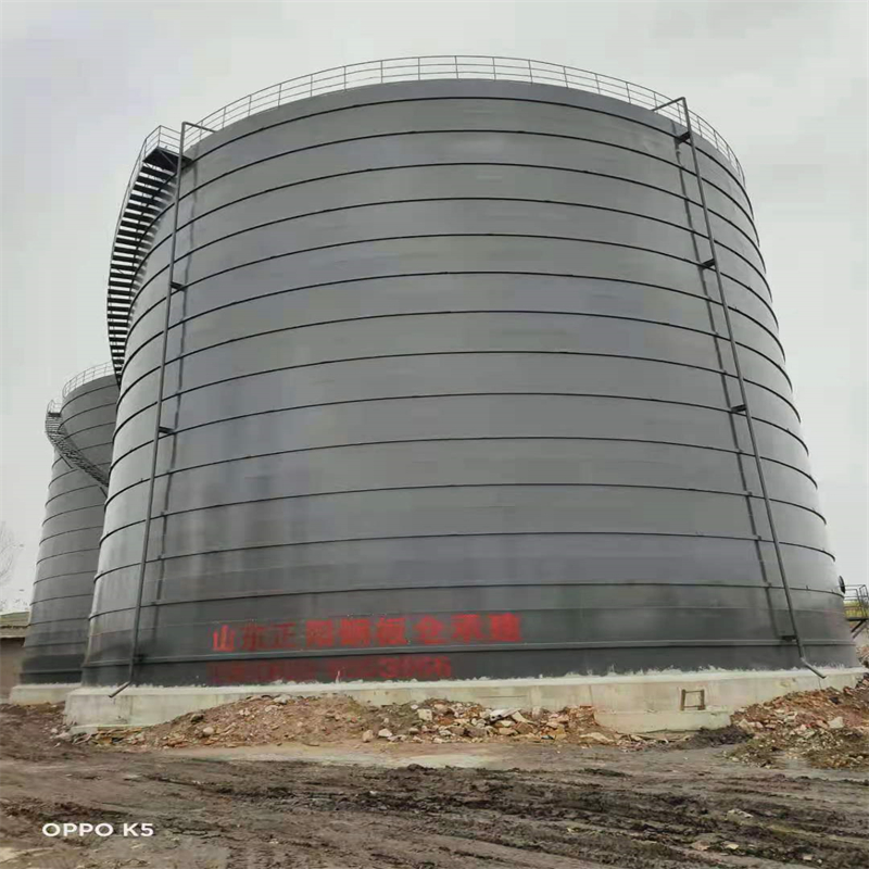 盐亭3万吨大型钢板库